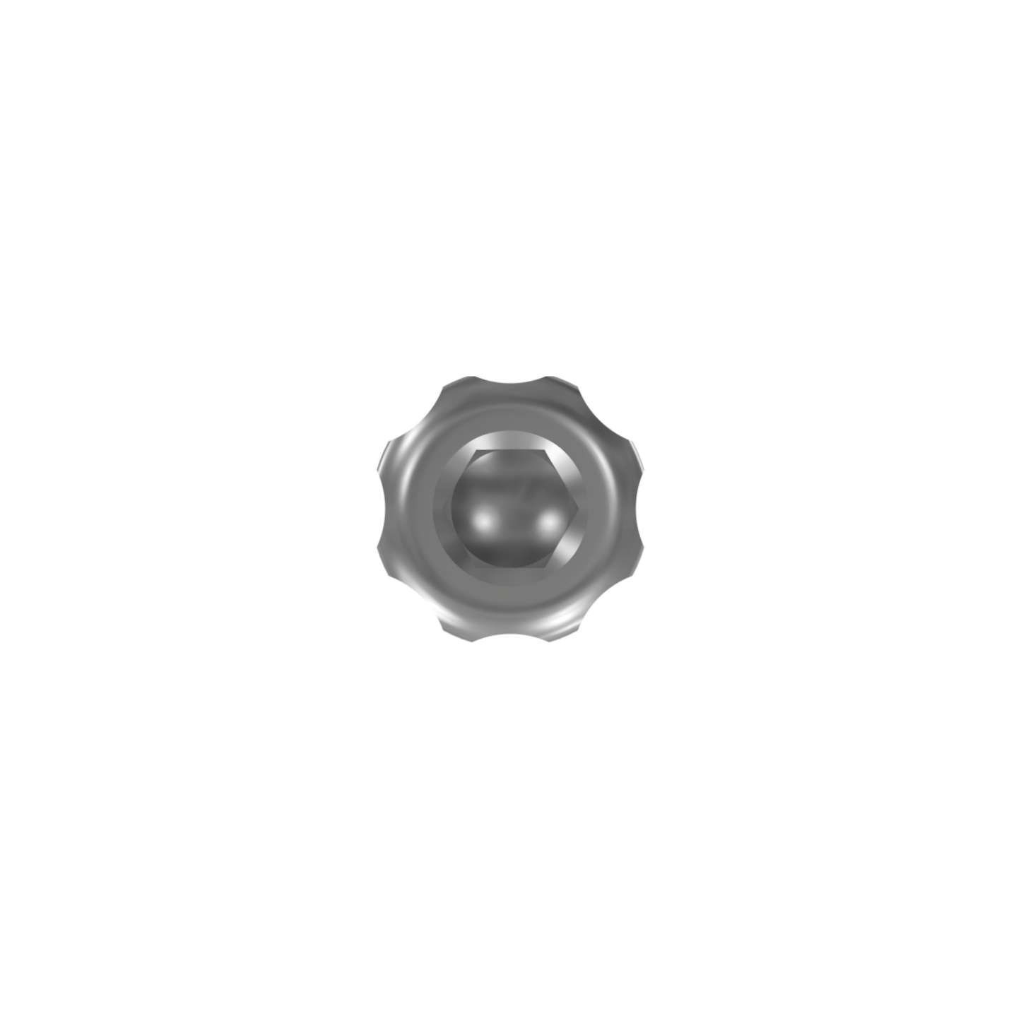 Angled Screw Abutment Holder