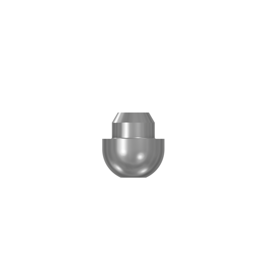 Polishing Protector
