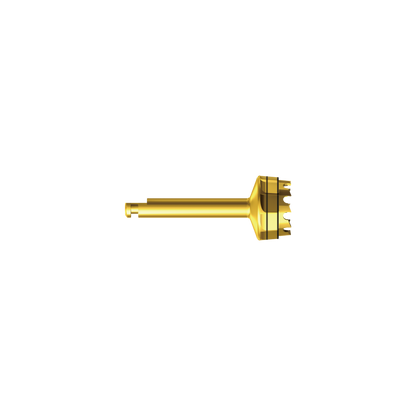 XST083025*drill*drill 6
