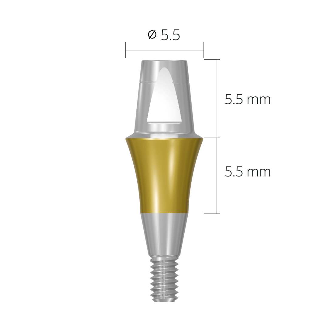cab5555*abutment*5.5 5.5 long