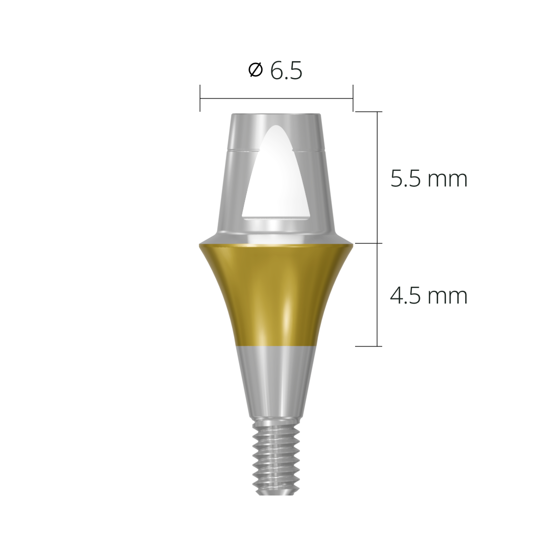 cab6545*abutment*6.5 4.5 long