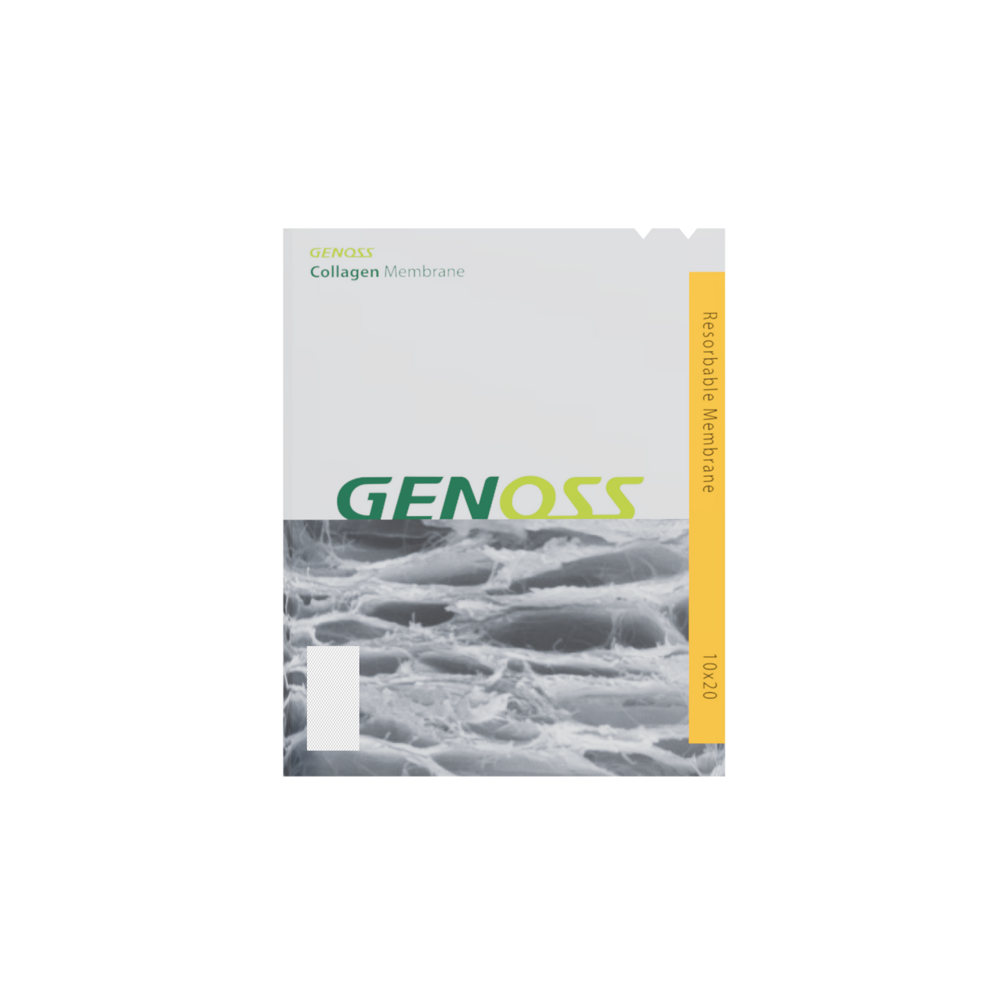 Collagen*Membrane*10x20