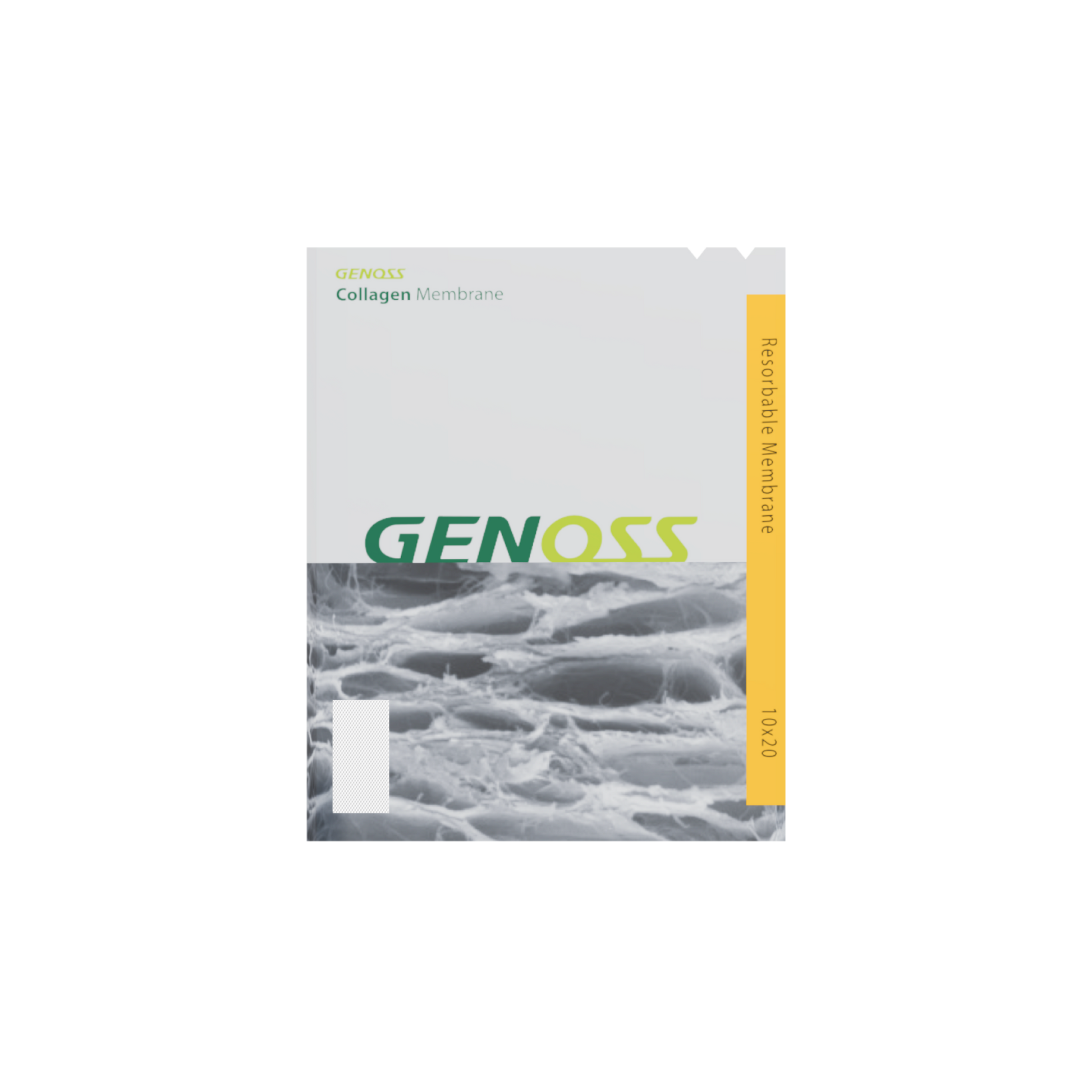 Collagen*Membrane*10x20