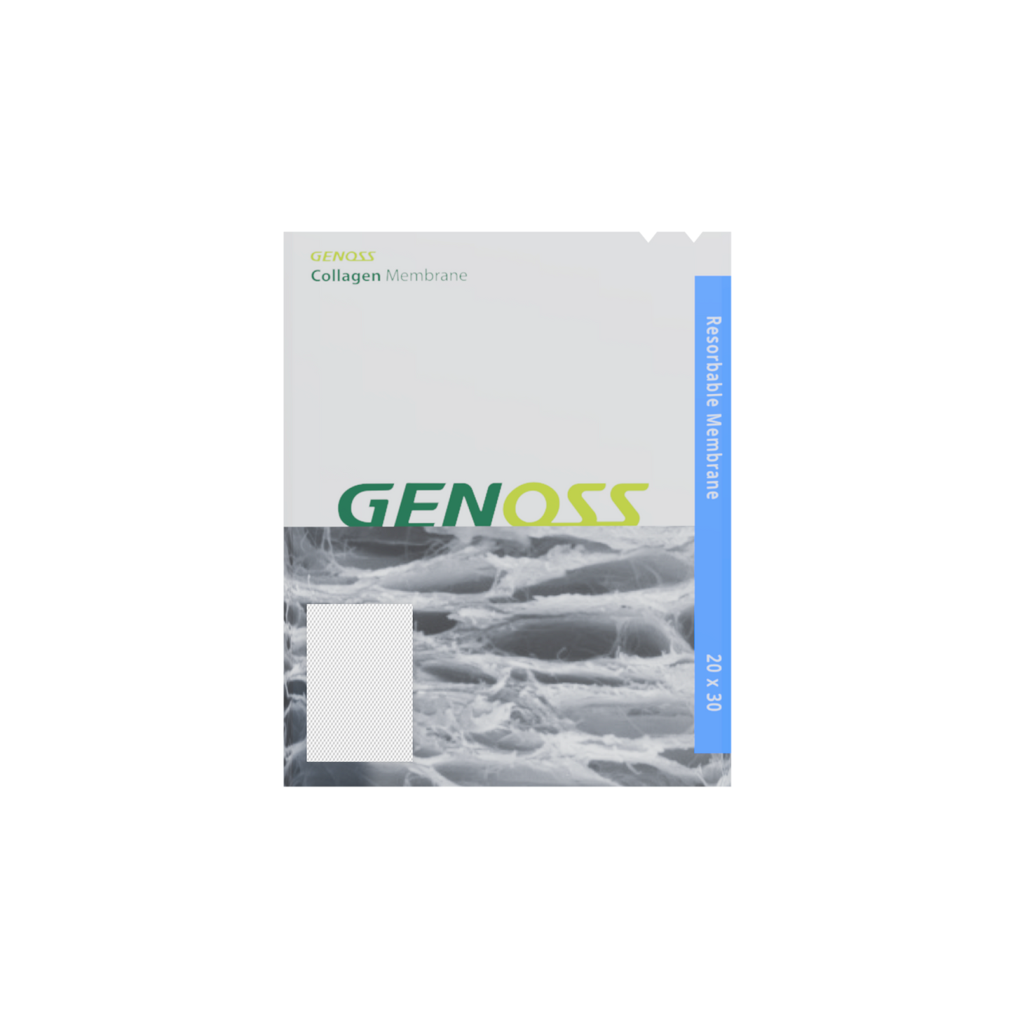 Collagen*Membrane*20x30