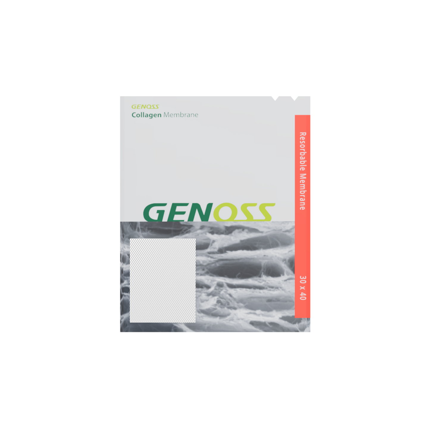 Collagen*Membrane*30x40