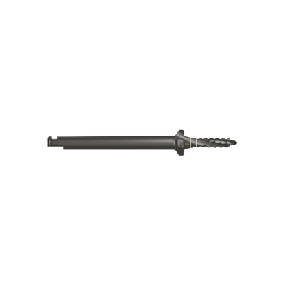 gld3009*drill*9