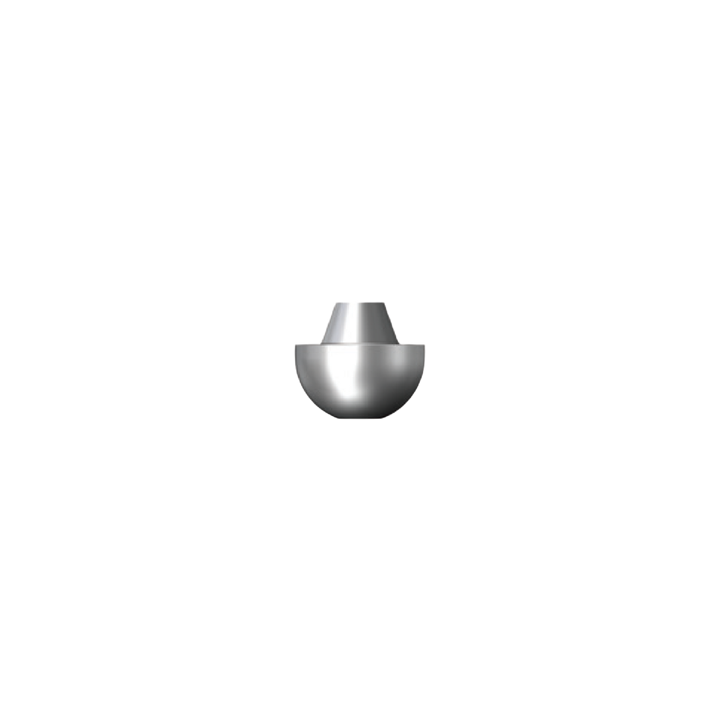 [NR Line] Screw Abutment Polishing Protector
