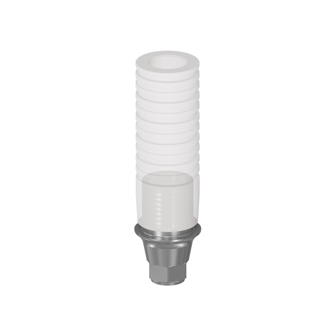 rab45cln*abutment*1.0 mm(hex)