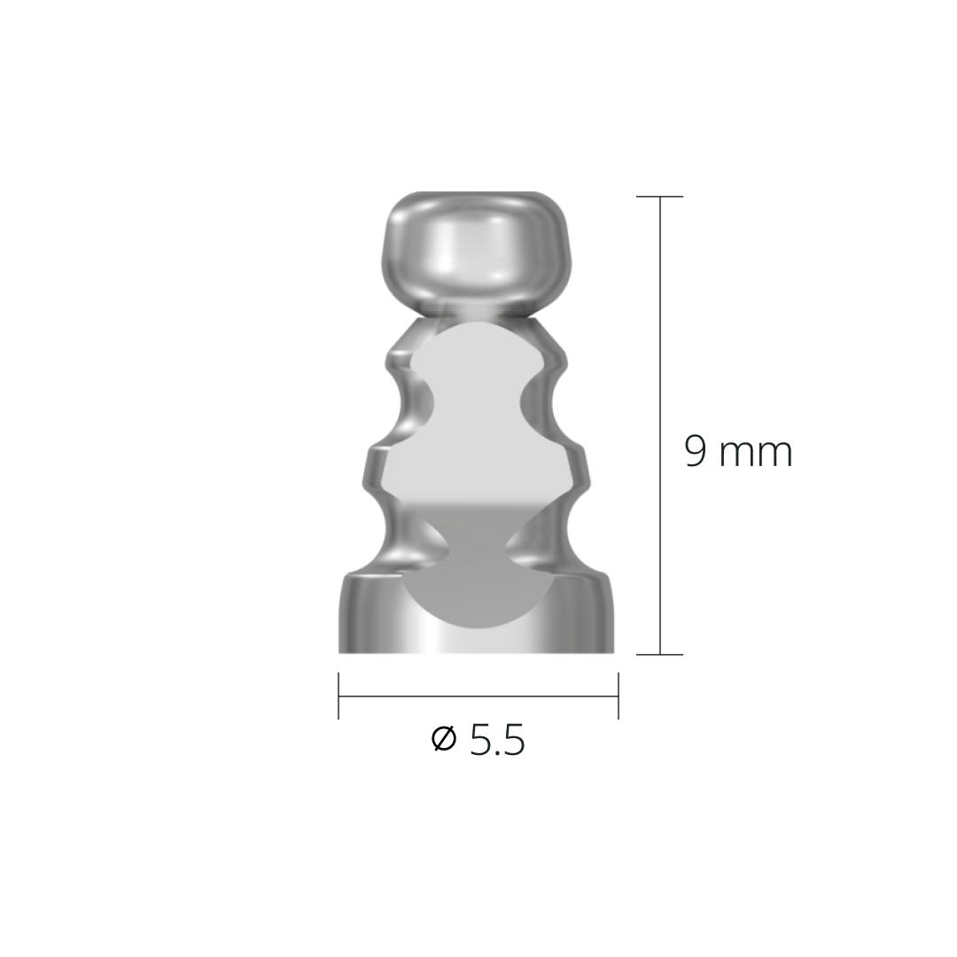 stf55sl*dimension*hex Ø5.5
