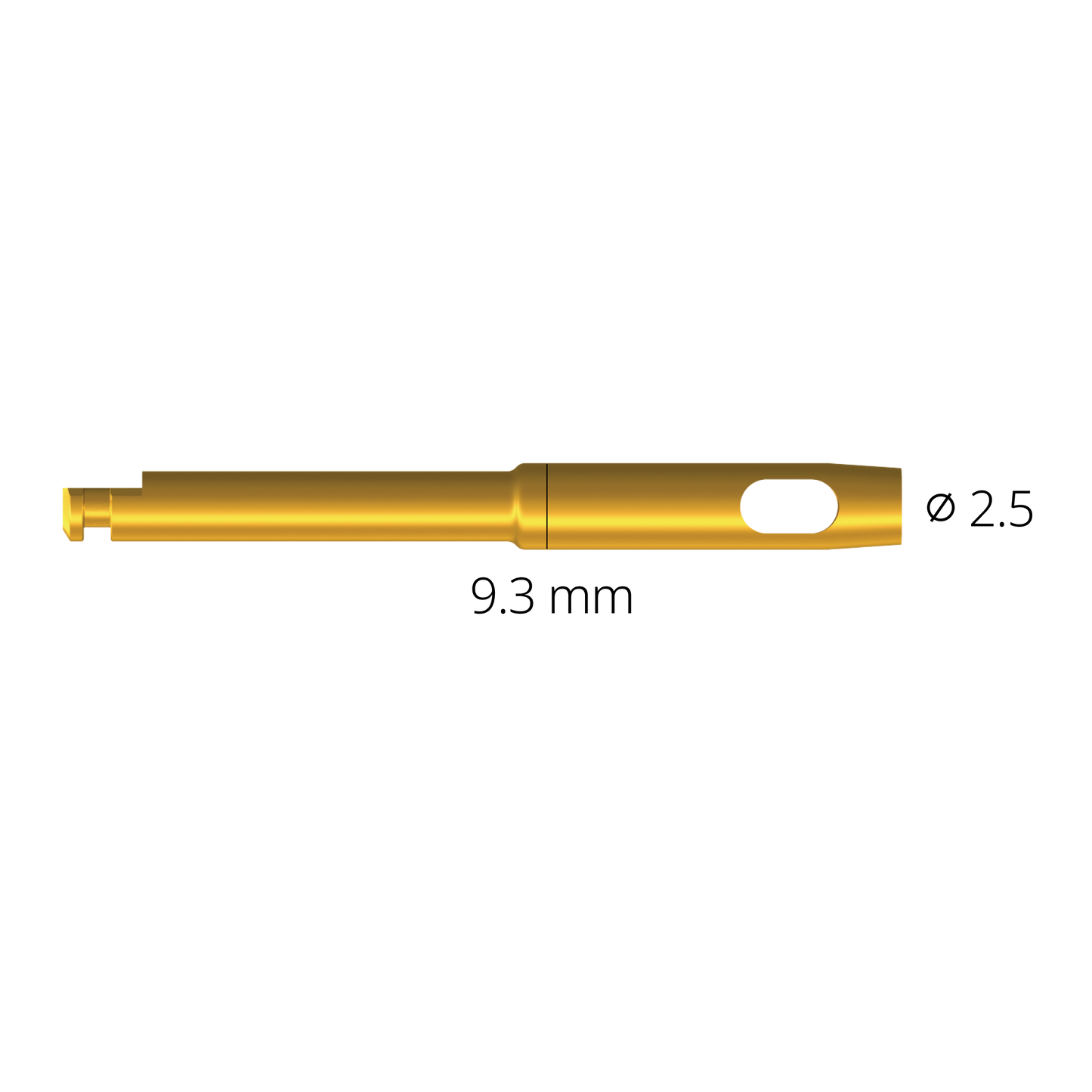Tissue Punch - Digital Guide [Simple]