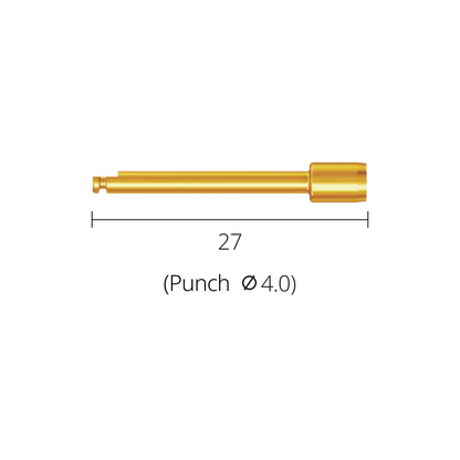 Tissue Punch